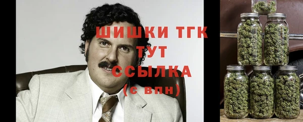 ALPHA PVP Кинешма