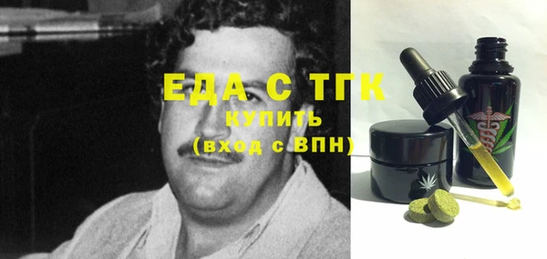 индика Киреевск