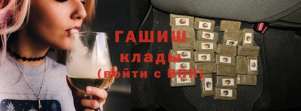 индика Киреевск