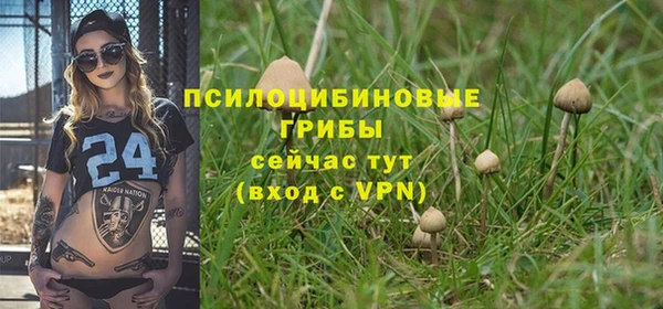 ALPHA PVP Кинешма