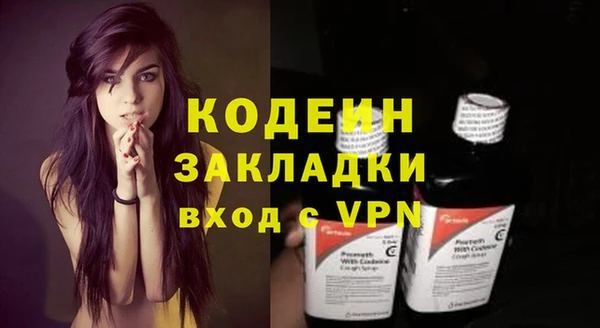 индика Киреевск