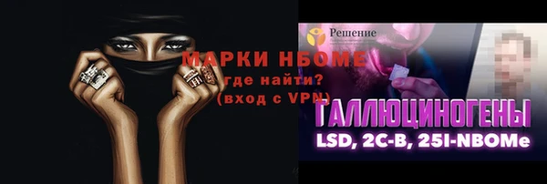 индика Киреевск