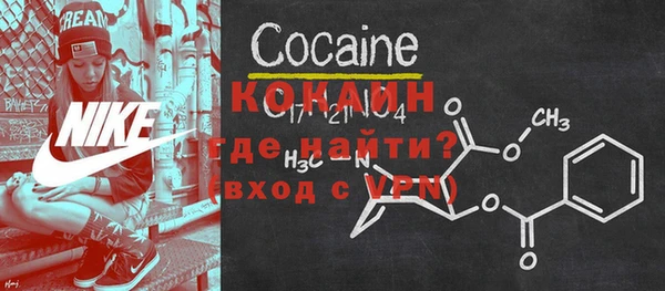 индика Киреевск
