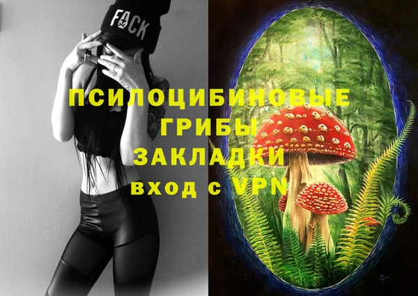 ALPHA PVP Кинешма