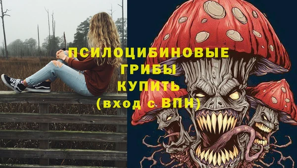 индика Киреевск
