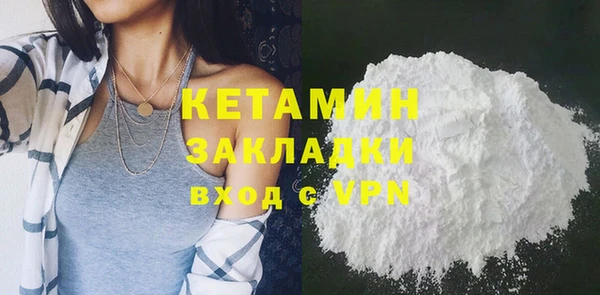 индика Киреевск