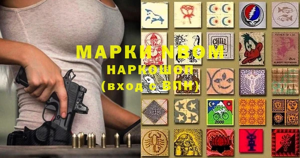 индика Киреевск