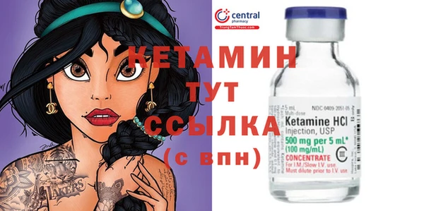 индика Киреевск