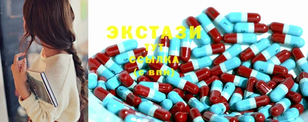 индика Киреевск