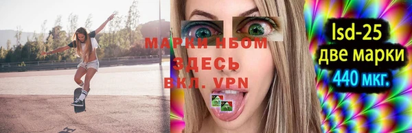 индика Киреевск