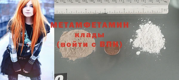 индика Киреевск