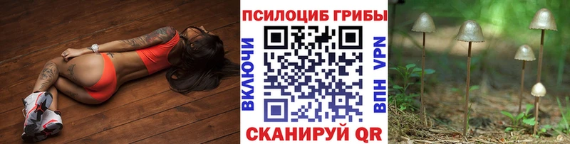 Галлюциногенные грибы Psilocybine cubensis  Купить  Щучье 