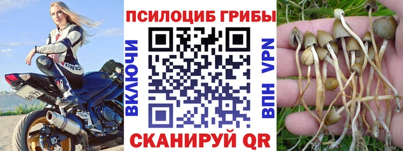 Галлюциногенные грибы мицелий Щучье